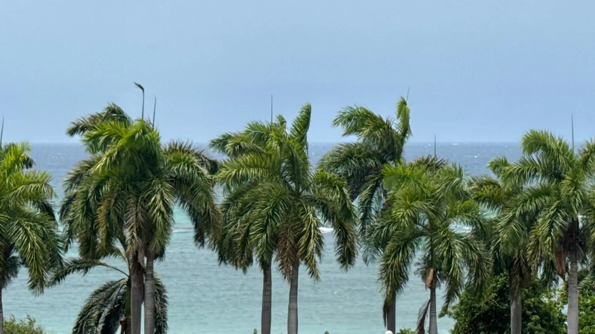 Apartmán Marriott Seacastles B30 Rooftop Penthouse Montego Bay Jamajka