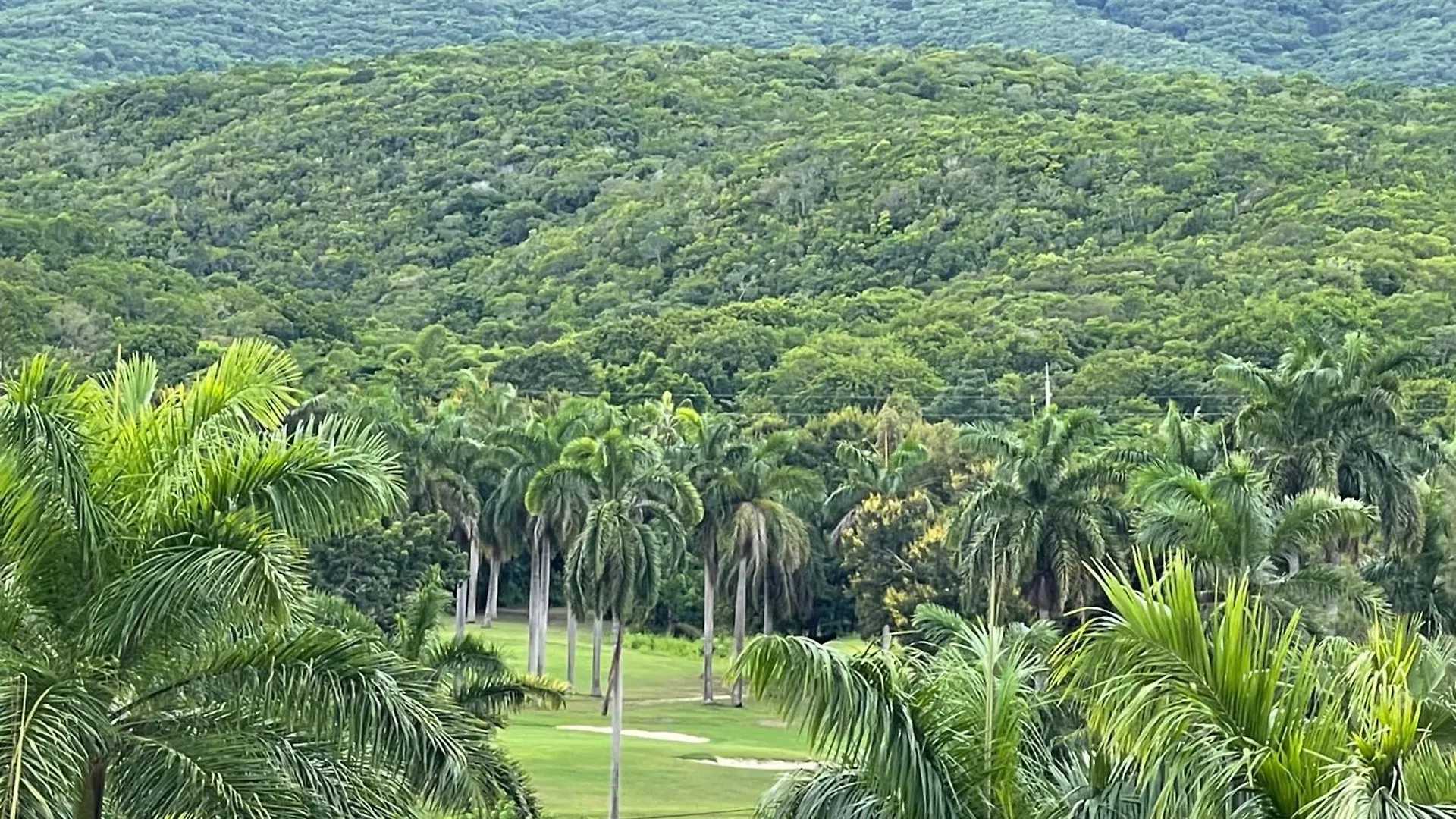 Marriott Seacastles B30 Rooftop Penthouse Montego Bay Daire